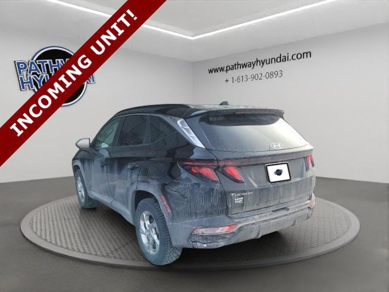 2024 Hyundai Tucson Preferred Photo