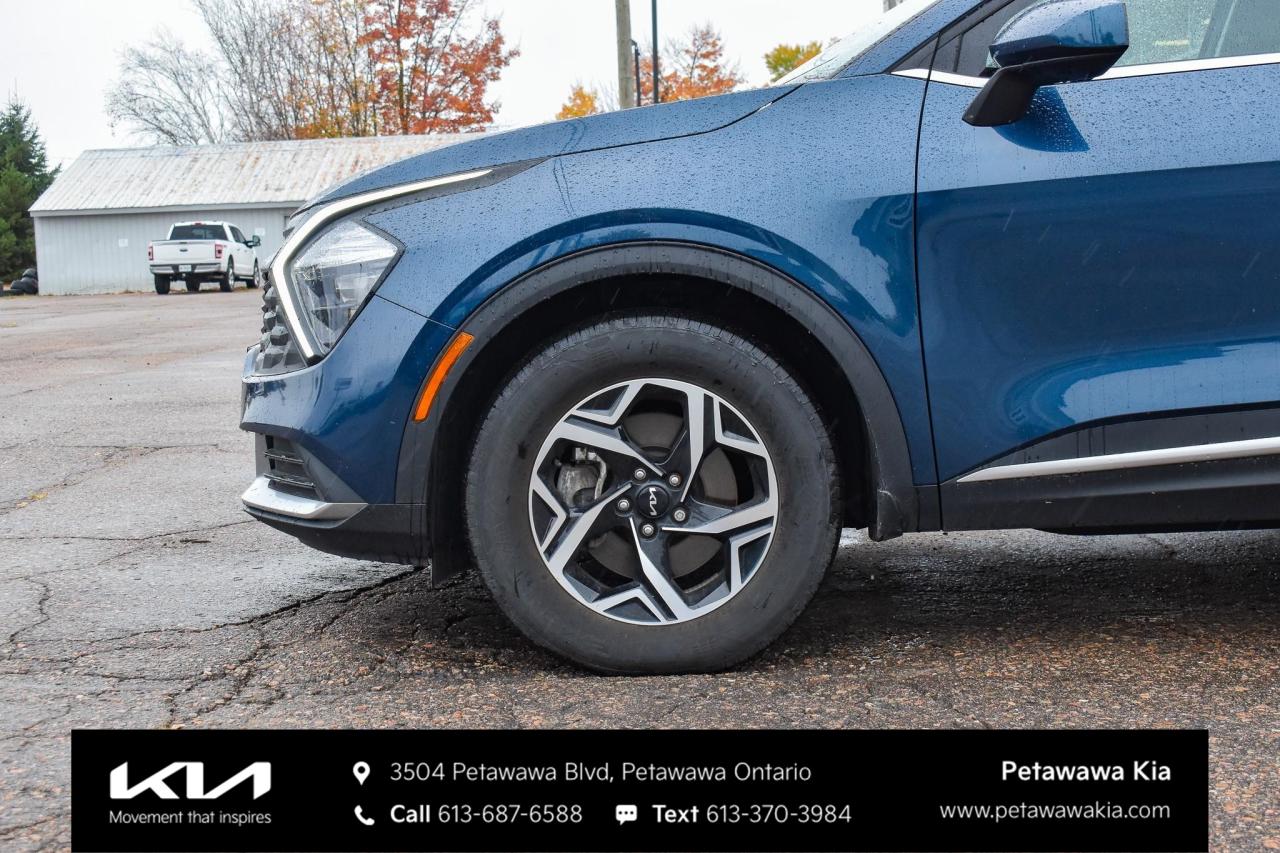 2024 Kia Sportage LX 4dr Front-wheel Drive Photo