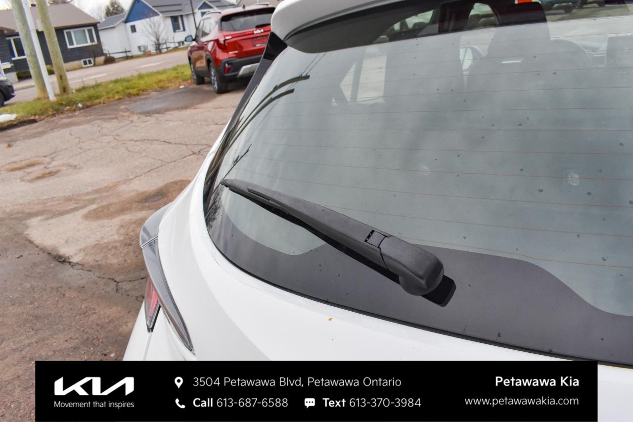 2019 Toyota Corolla Hatchback  Photo