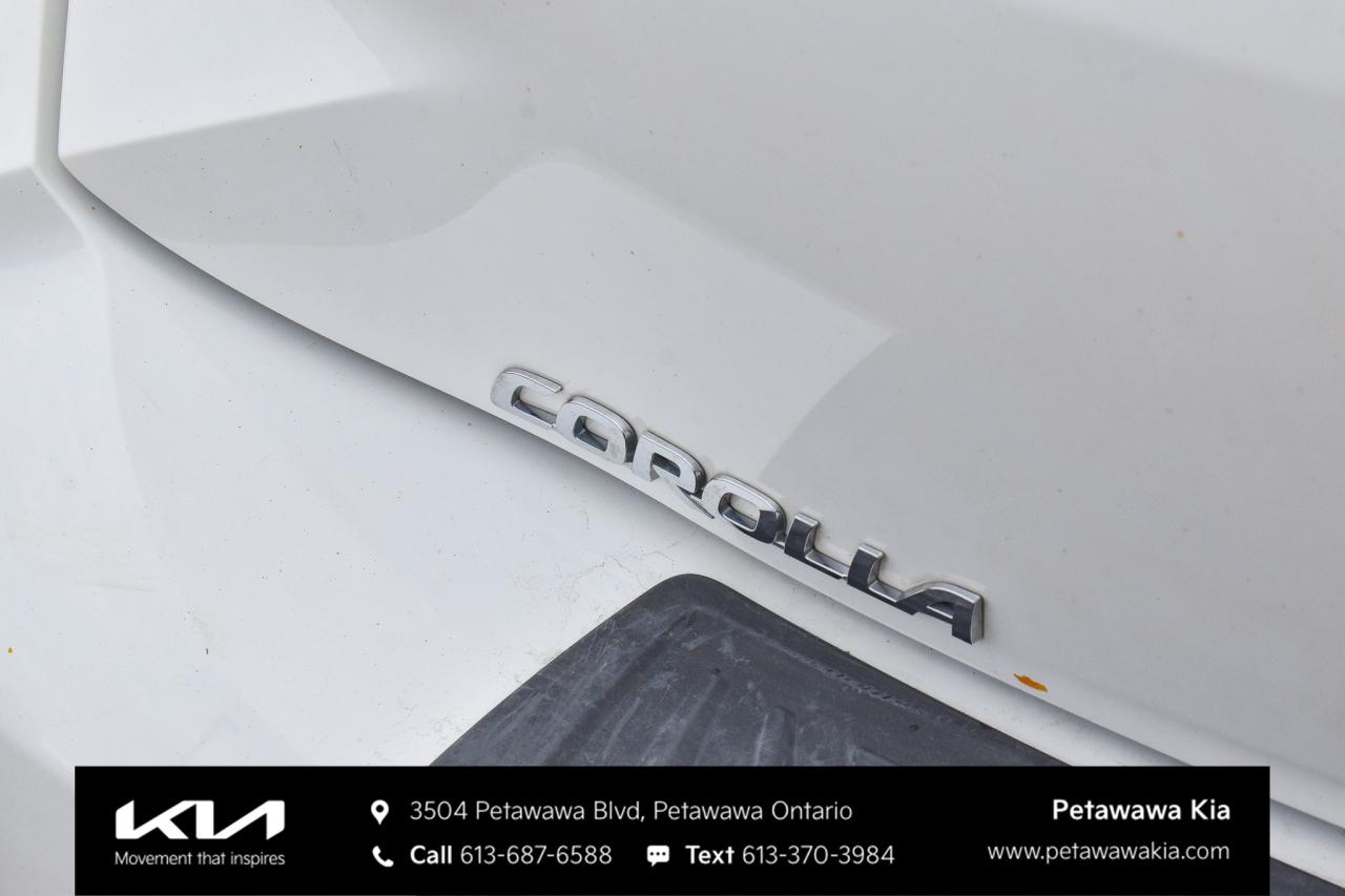 2019 Toyota Corolla Hatchback  Photo