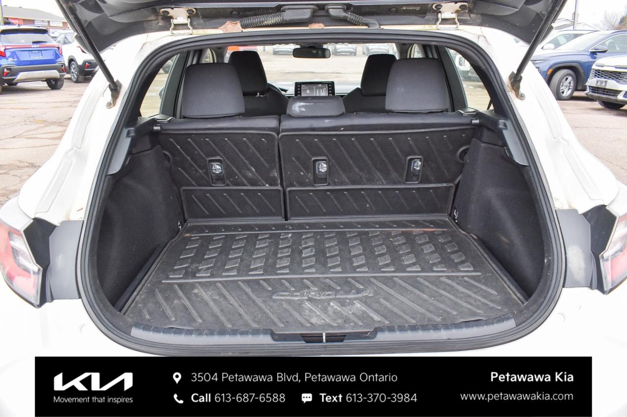 2019 Toyota Corolla Hatchback  Photo