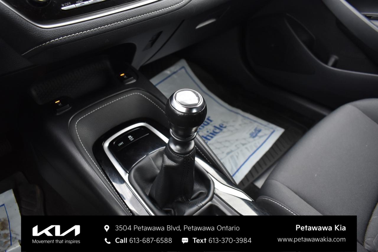 2019 Toyota Corolla Hatchback  Photo