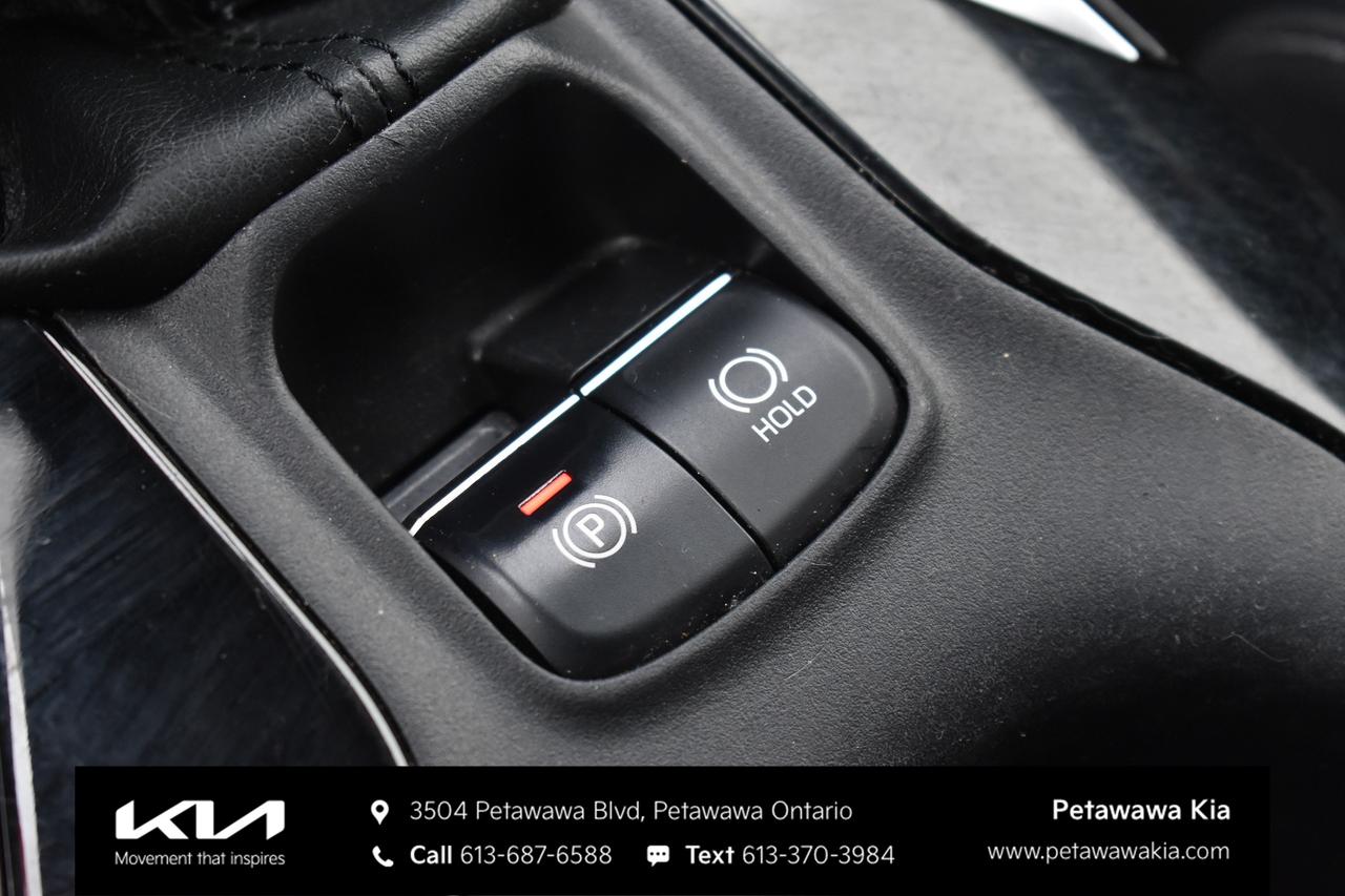 2019 Toyota Corolla Hatchback  Photo