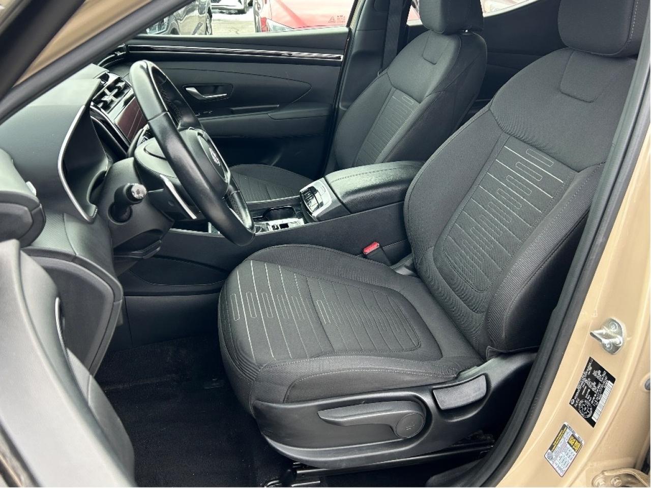 2024 Hyundai Santa Cruz Preferred Photo