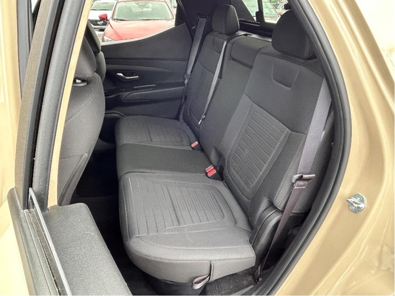 2024 Hyundai Santa Cruz Preferred Photo