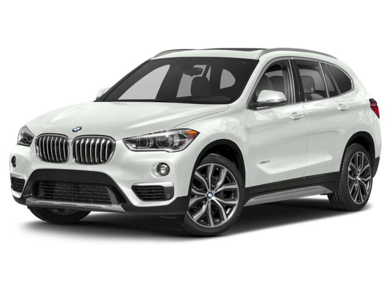 2019 BMW X1 xDrive28i 4dr All-wheel Drive Sports Activity Vehicle Photo0