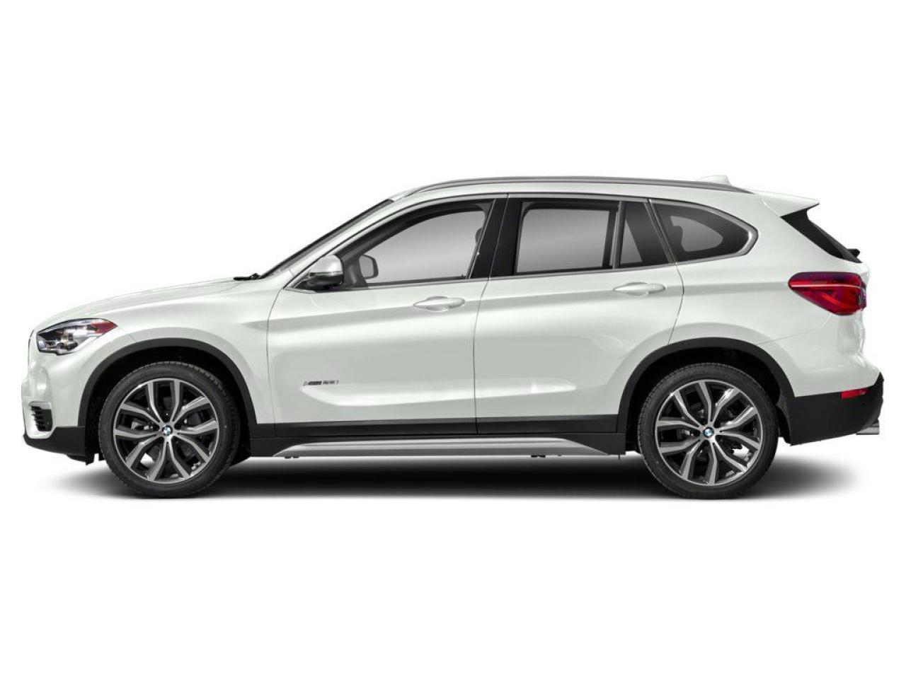 2019 BMW X1 xDrive28i 4dr All-wheel Drive Sports Activity Vehicle Photo