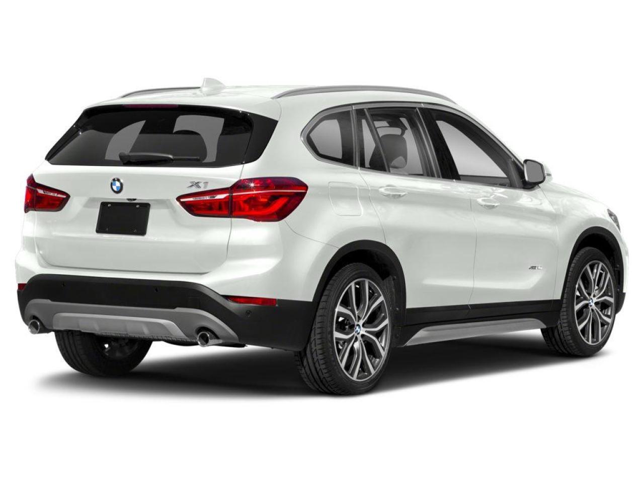 2019 BMW X1 xDrive28i 4dr All-wheel Drive Sports Activity Vehicle Photo