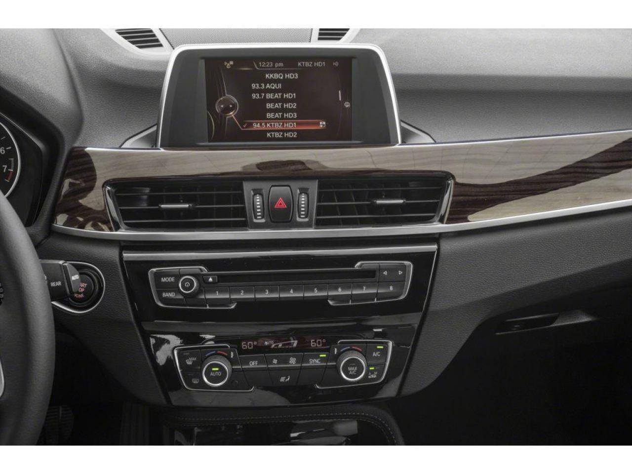 2019 BMW X1 xDrive28i 4dr All-wheel Drive Sports Activity Vehicle Photo