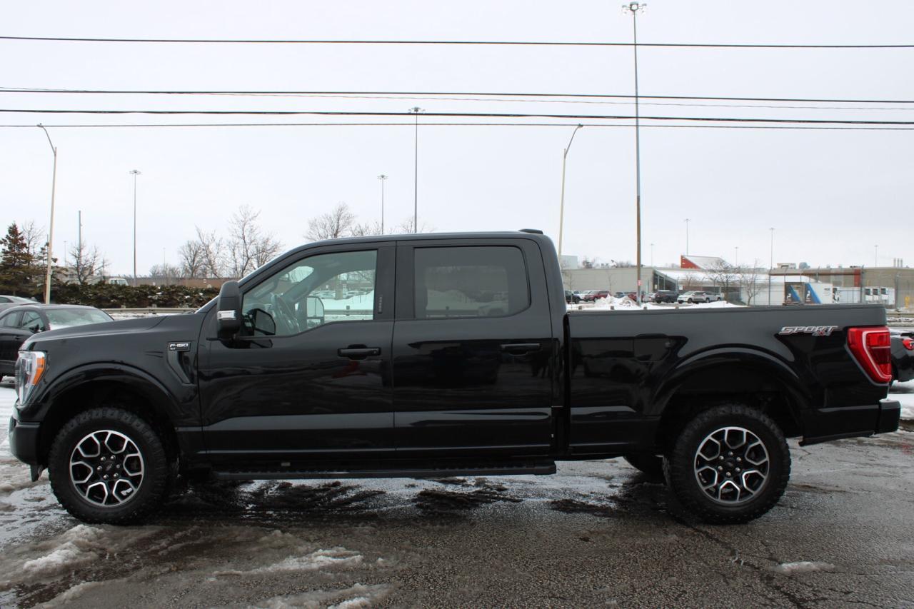 2022 Ford F-150 XLT Sport 4WD V8 No Accident Clean Carfax Photo