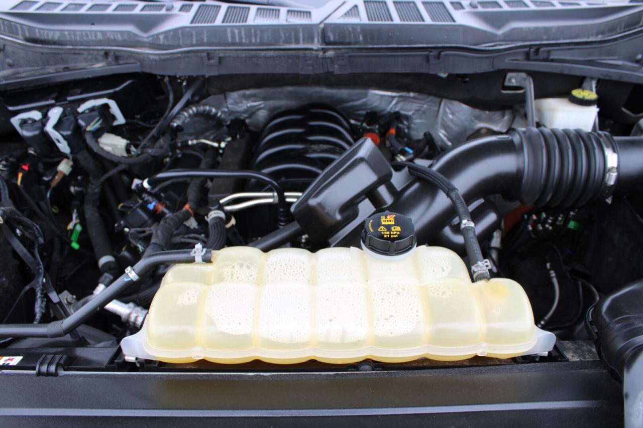 2022 Ford F-150 XLT Sport 4WD V8 No Accident Clean Carfax Photo