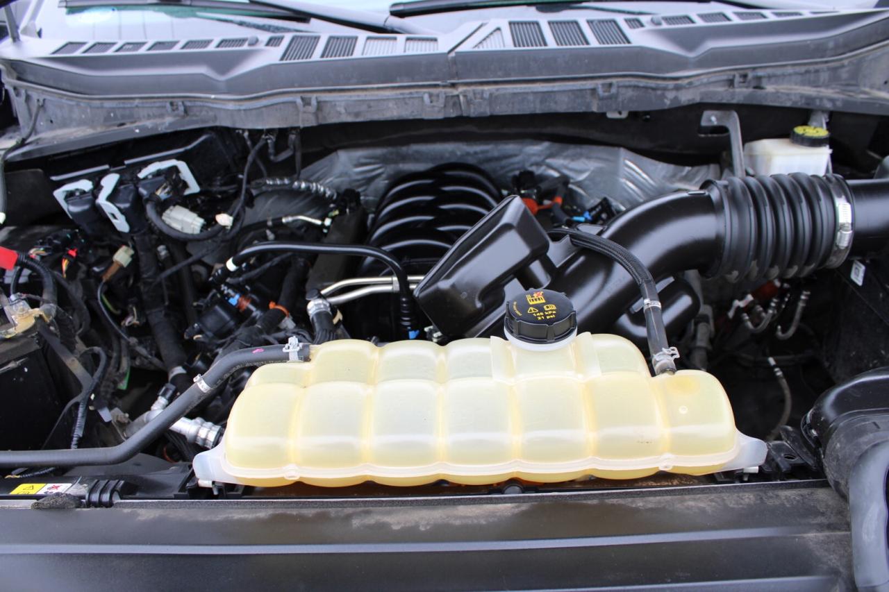 2021 Ford F-150 Lariat 4WD 5.0L V8 502A No Accident CLEAN CARFAX Photo