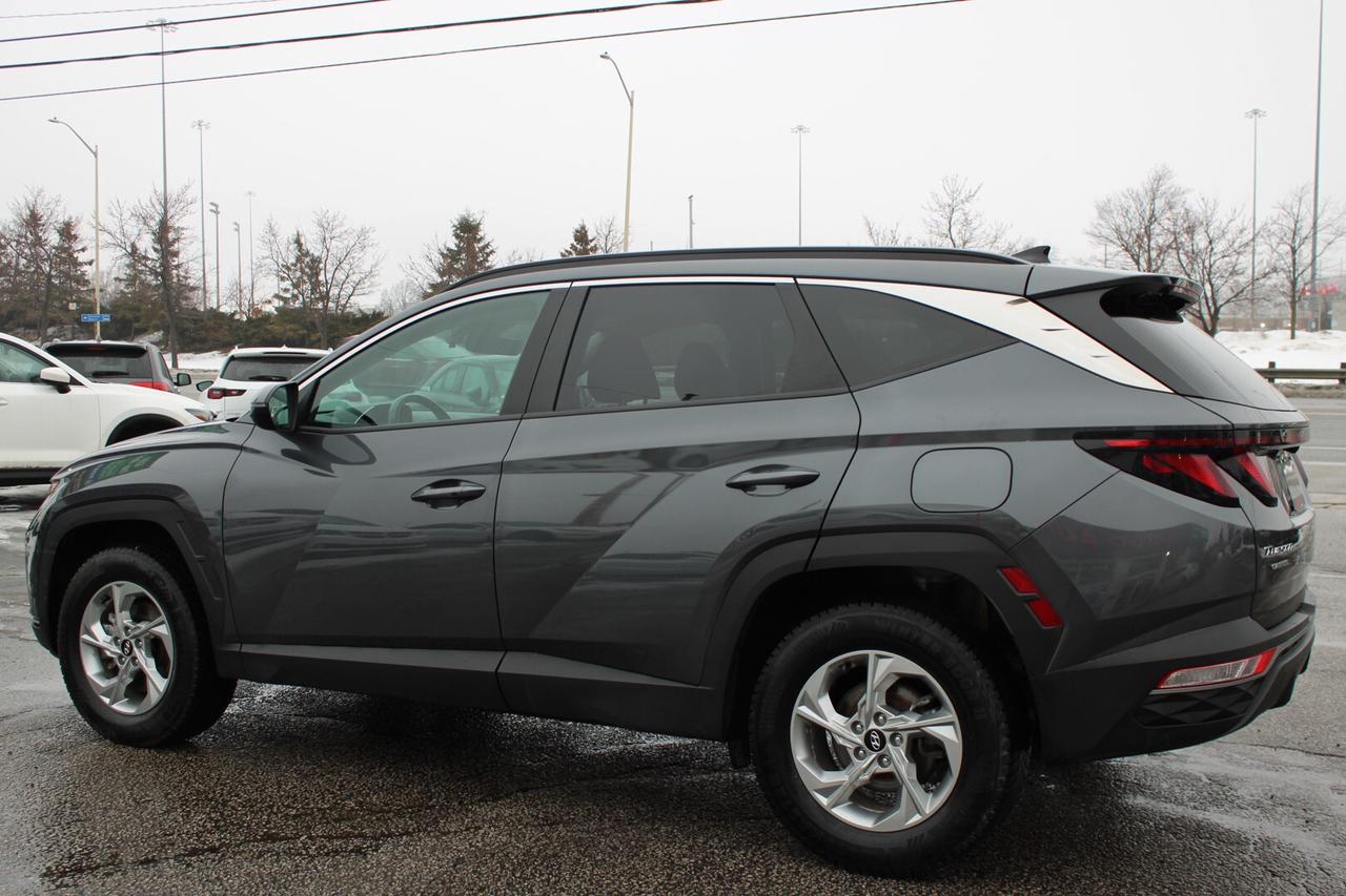 2024 Hyundai Tucson Preferred AWD   No Accident   Clean Carfax Photo4