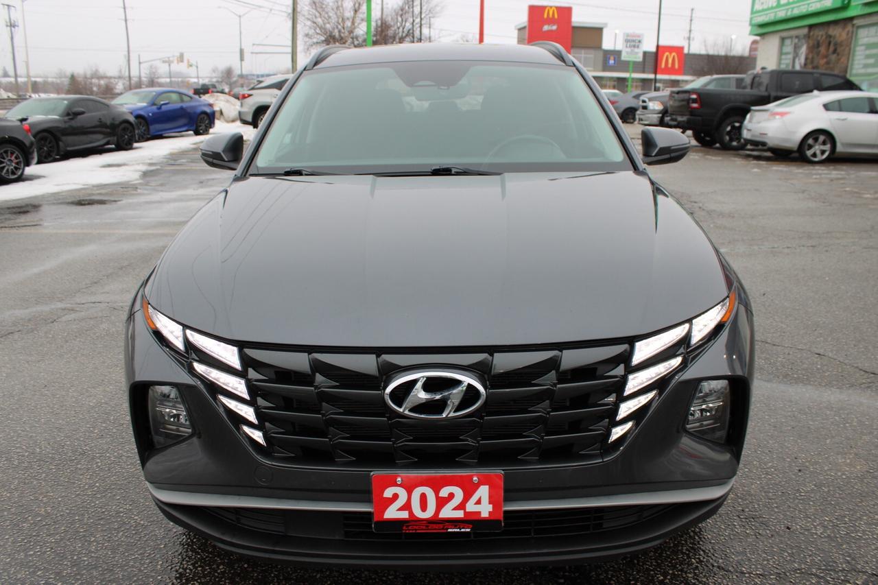 2024 Hyundai Tucson Preferred AWD   No Accident   Clean Carfax Photo