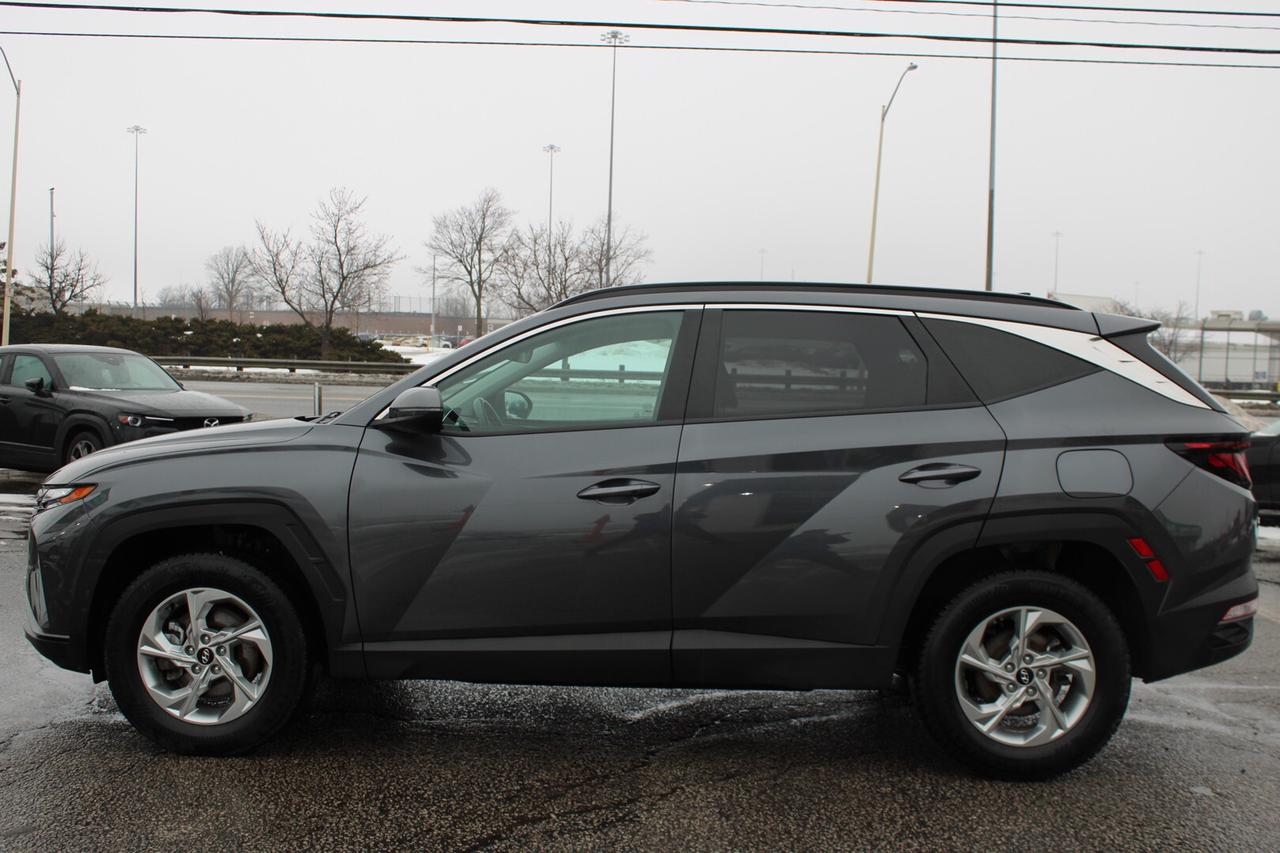 2024 Hyundai Tucson Preferred AWD   No Accident   Clean Carfax Photo3