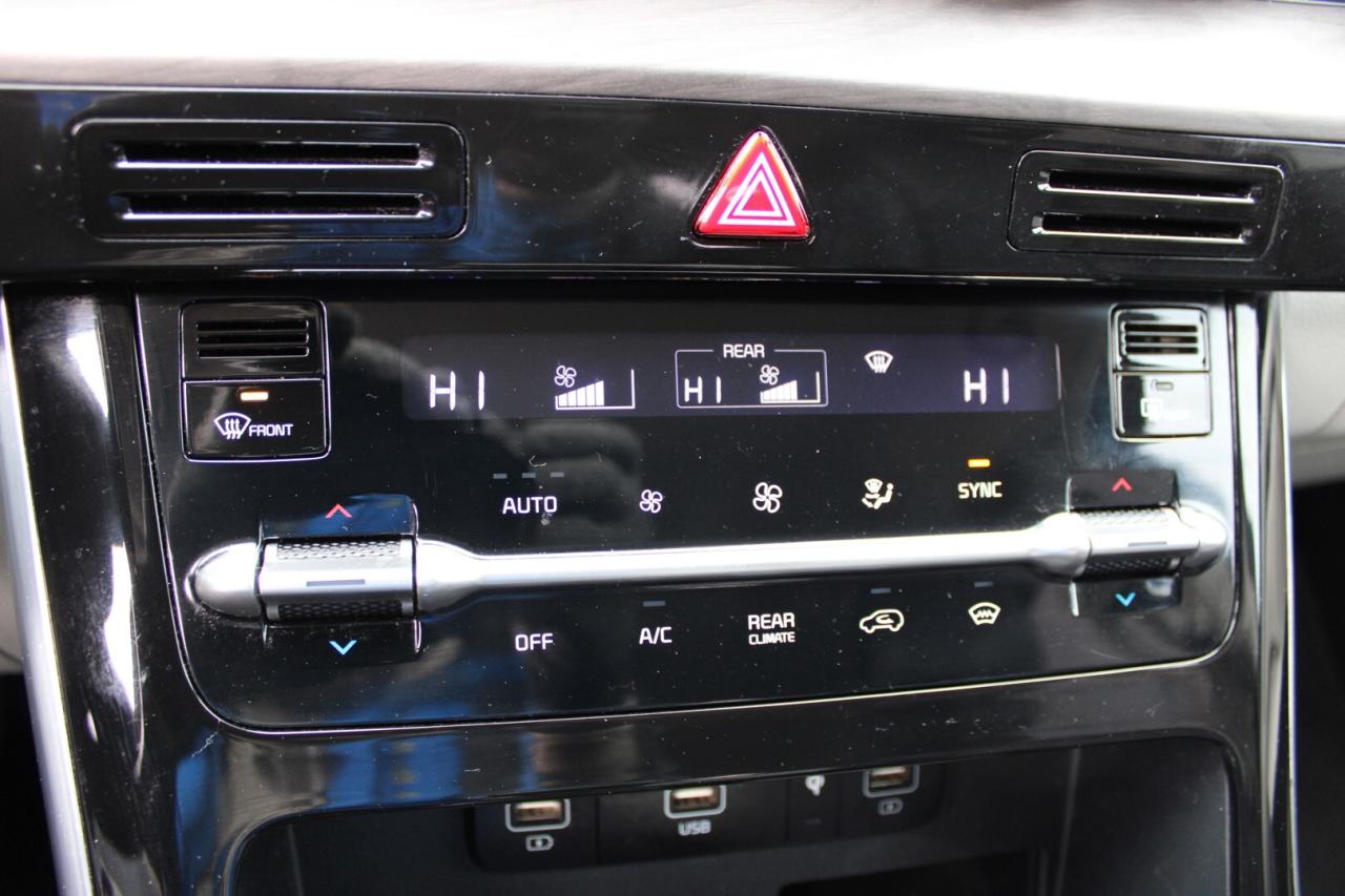 2022 Kia Carnival EX   No Accident  Clean Carfax   One Owner Photo