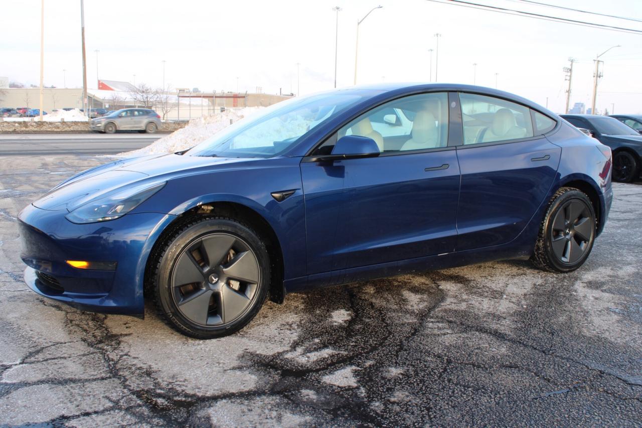 2023 Tesla Model 3 Standard Range Plus No Accident Clean Carfax Photo