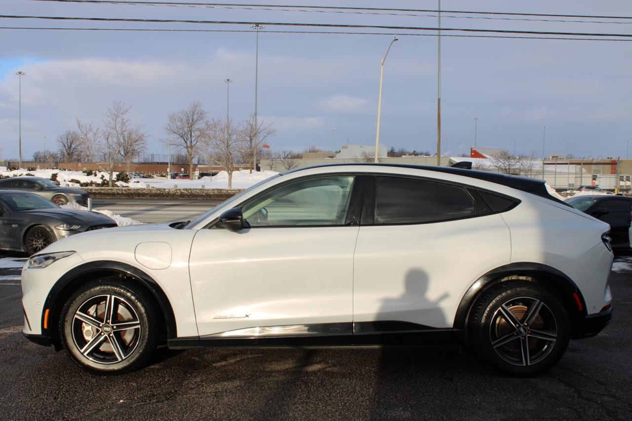 2021 Ford Mustang Mach-E Premium X AWD Extended Range   No Accident   Clean Photo3