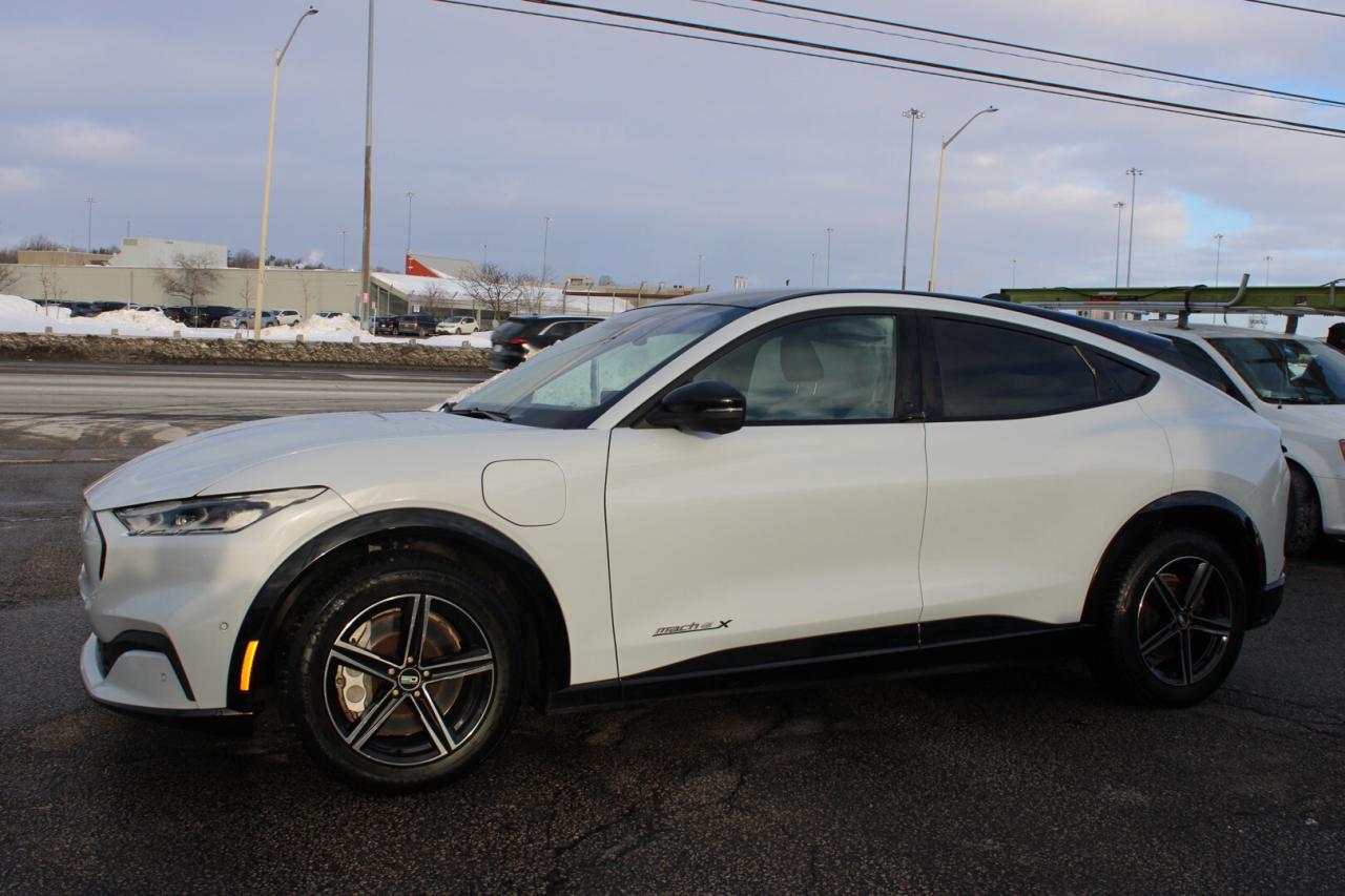 2021 Ford Mustang Mach-E Premium X AWD Extended Range   No Accident   Clean Photo