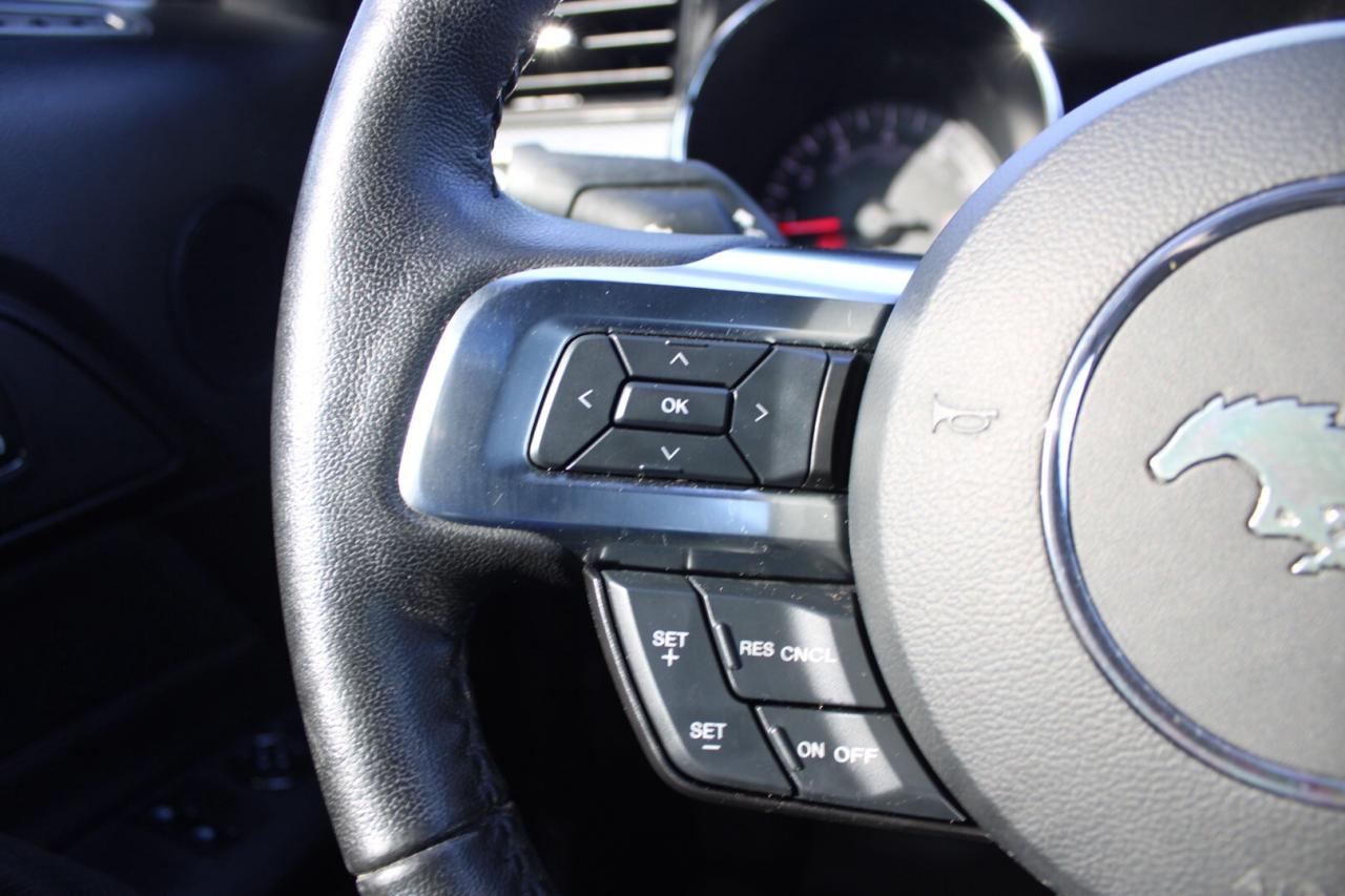 2017 Ford Mustang GT Premium California Special Manual No Accident S Photo