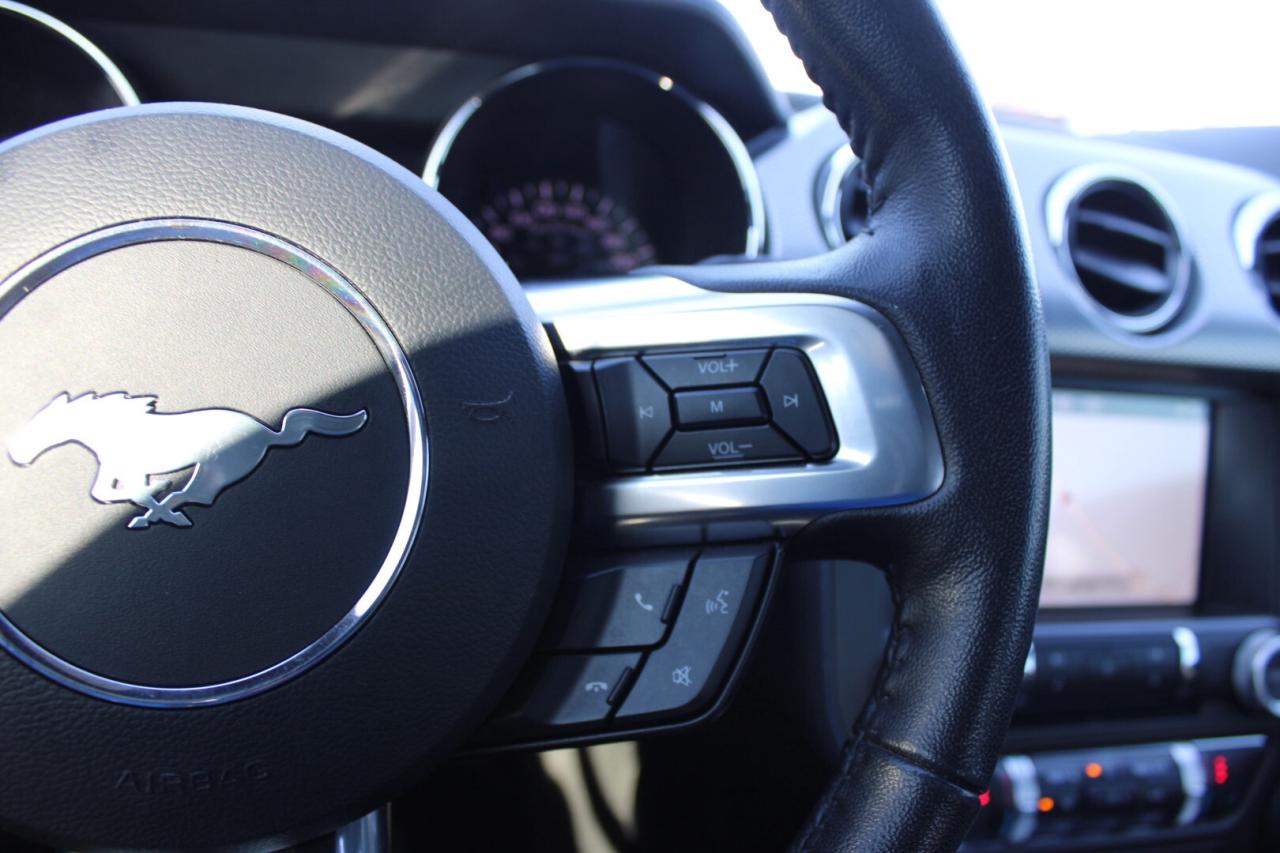 2017 Ford Mustang GT Premium California Special Manual No Accident S Photo