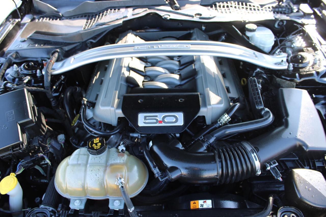 2017 Ford Mustang GT Premium California Special Manual No Accident S Photo