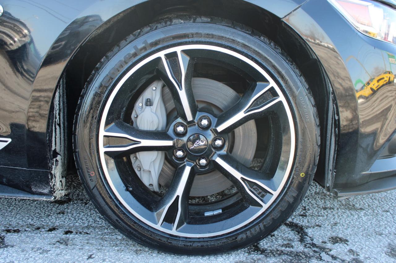 2017 Ford Mustang GT Premium California Special Manual No Accident S Photo