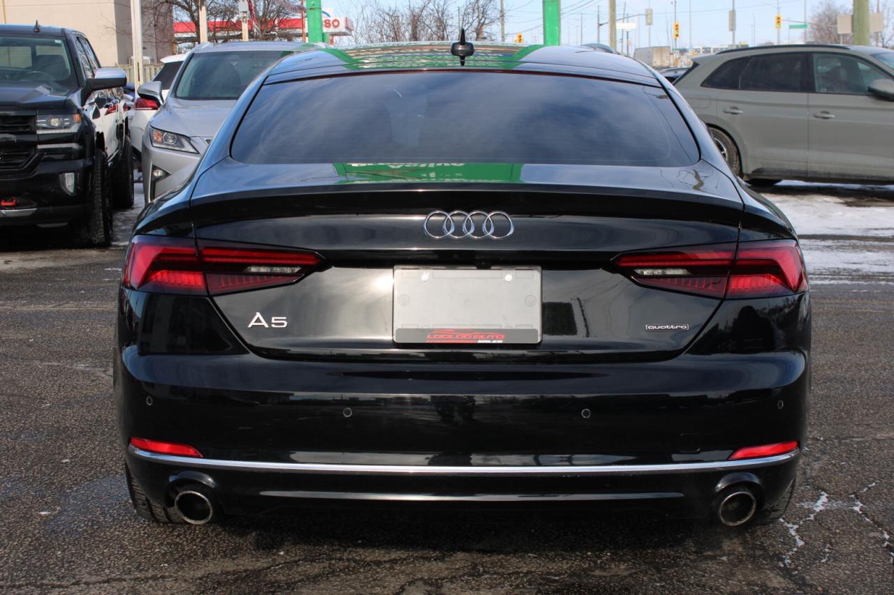 2019 Audi A5 Progressiv Sportback quattro   No Accident   Clean Photo