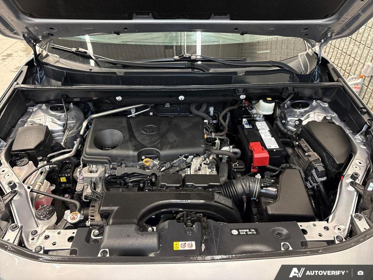 2021 Toyota RAV4 LE 4dr Front-wheel Drive Photo