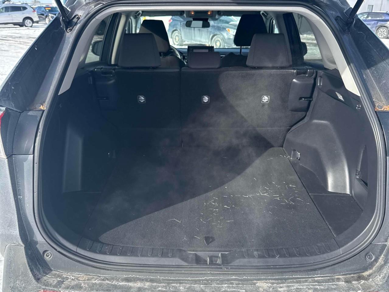 2020 Toyota RAV4 LE 4dr Front-wheel Drive Photo