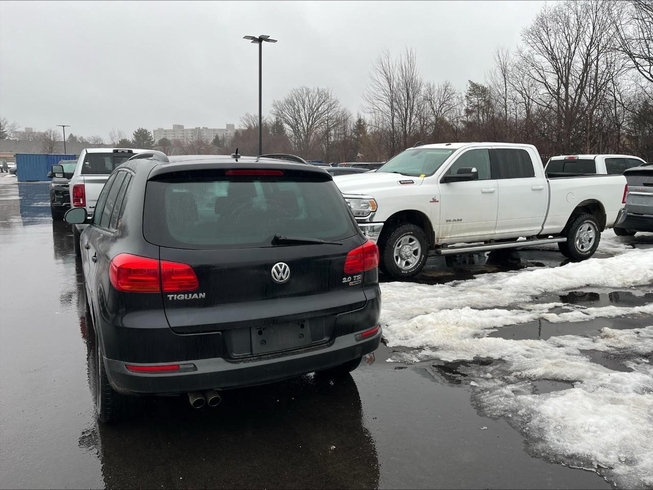 2016 Volkswagen Tiguan  Photo