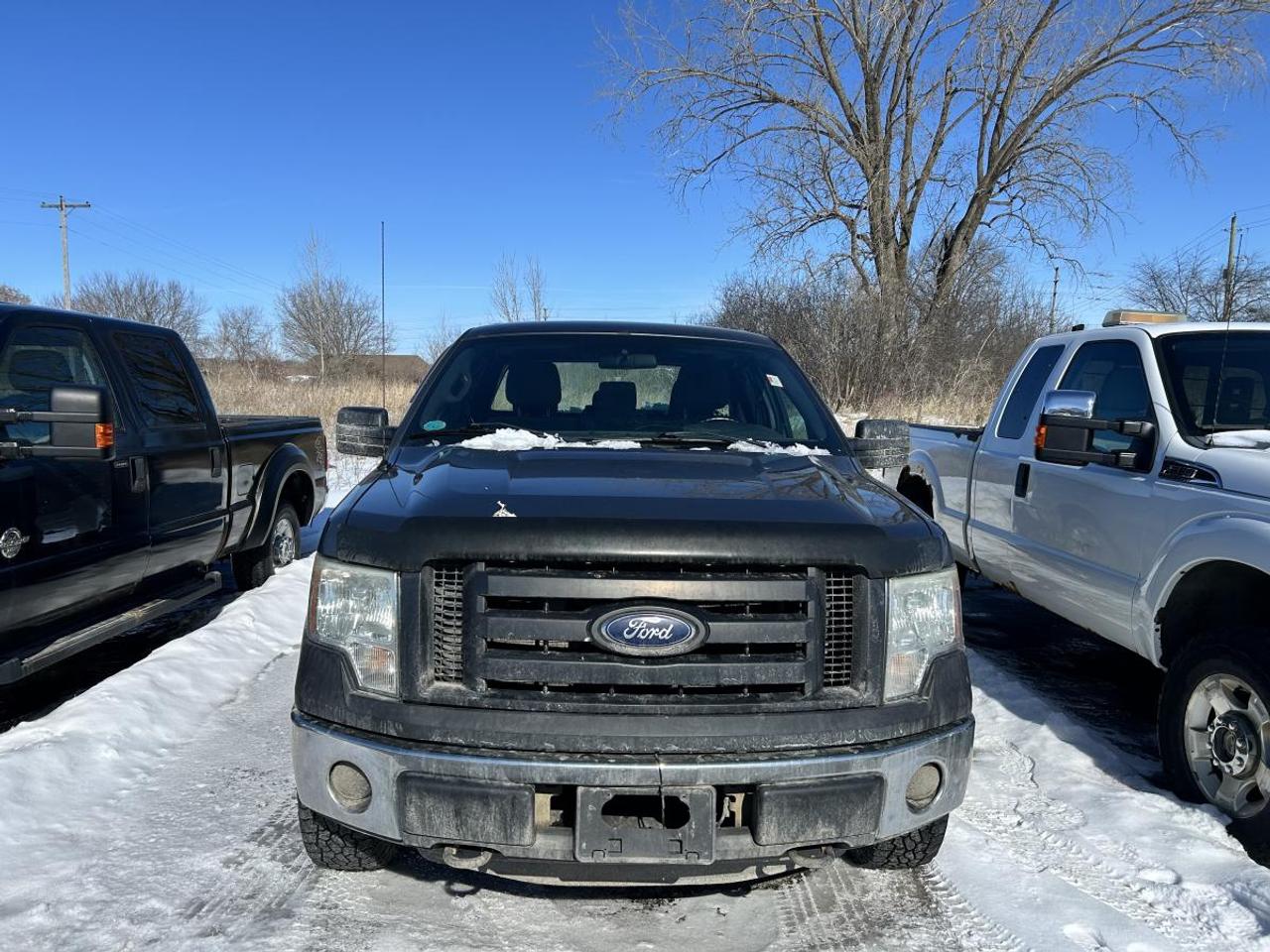 2011 Ford F-150 BASE Photo