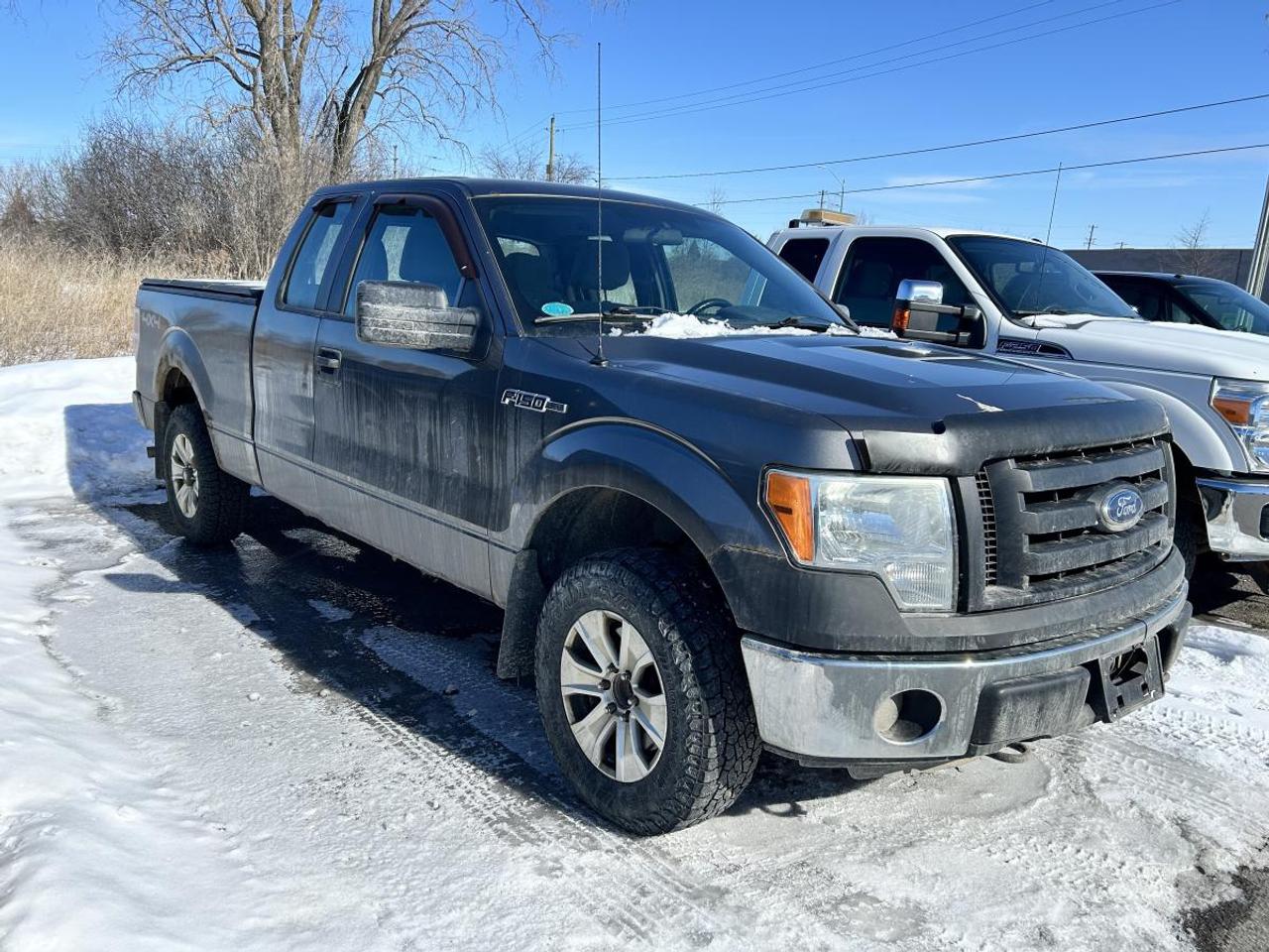 2011 Ford F-150 BASE Photo2