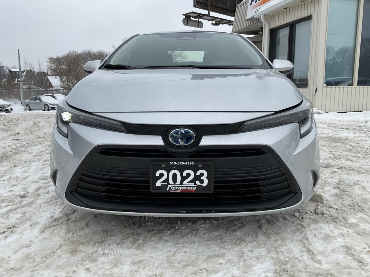 2023 Toyota Corolla Hybrid LE - ALLOYS! CAR PLAY! BACK-UP CAM! BSM! SA Photo