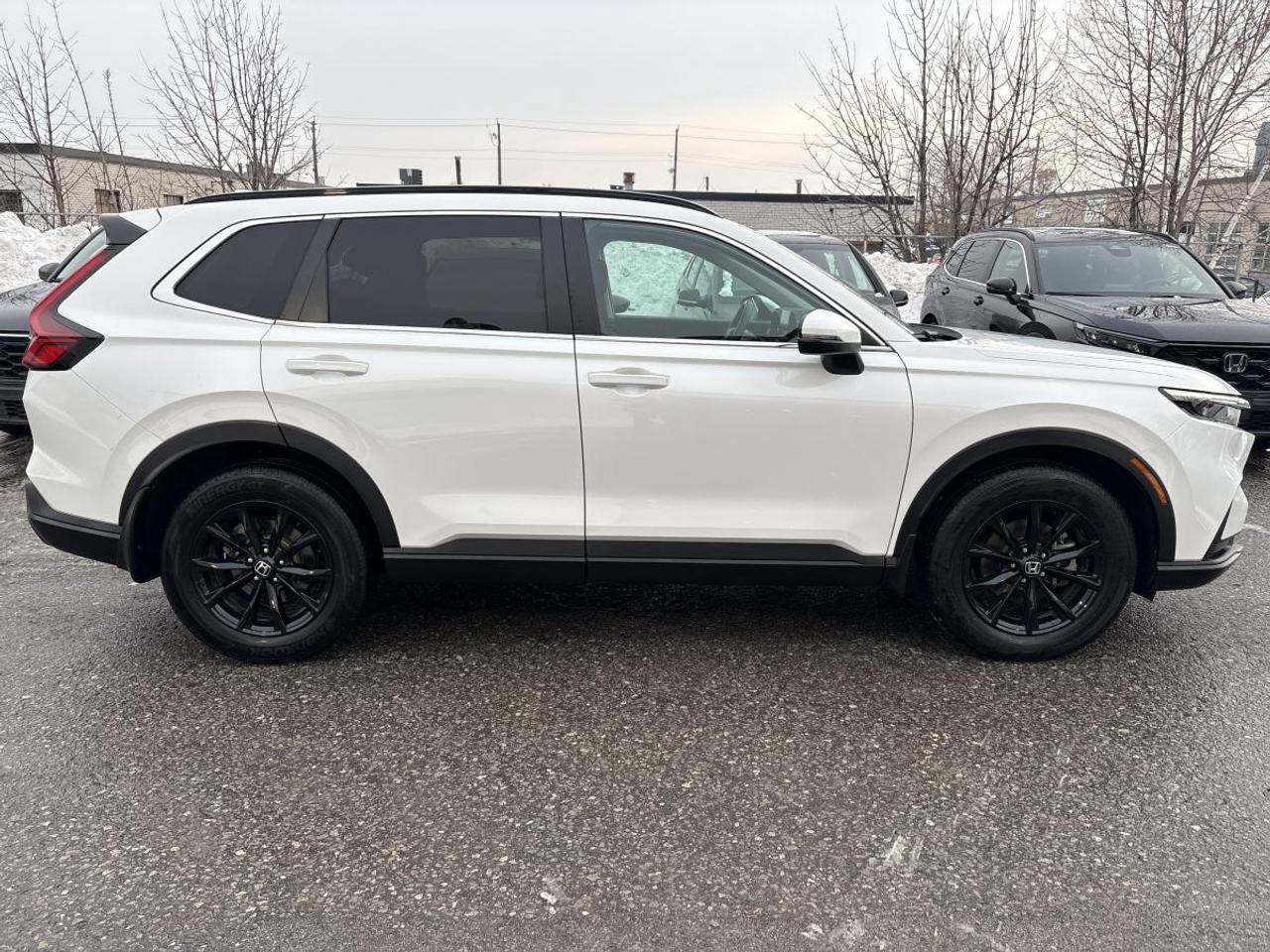 2024 Honda CR-V Sport Honda Certified With 7YRS/160K Warranty Photo