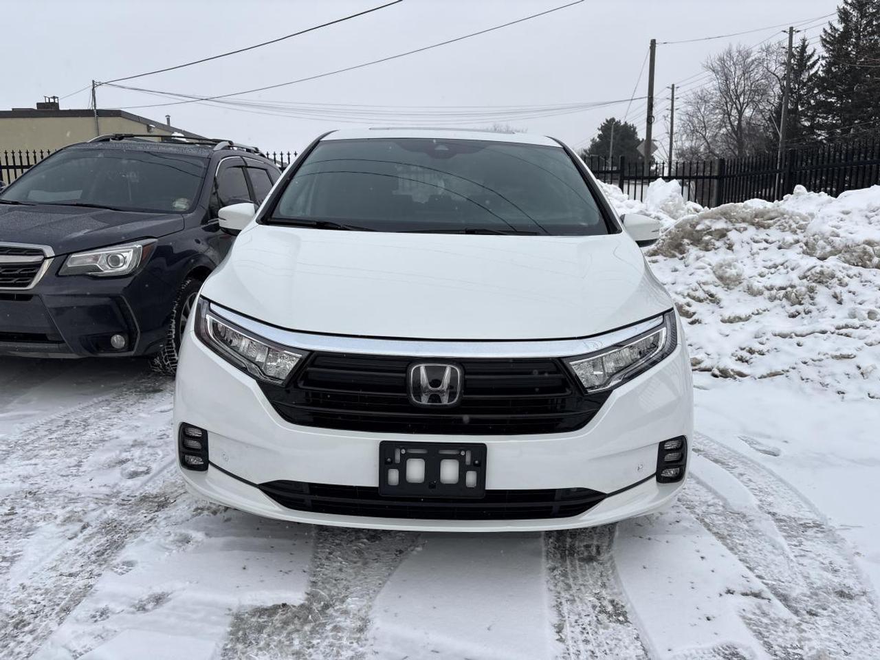 2023 Honda Odyssey Touring Photo