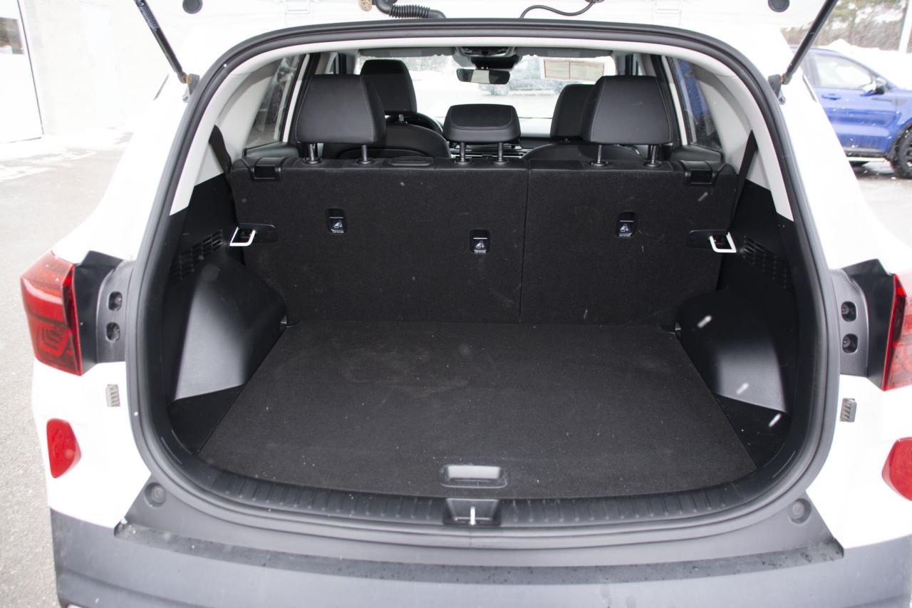 2023 Kia Seltos EX Photo