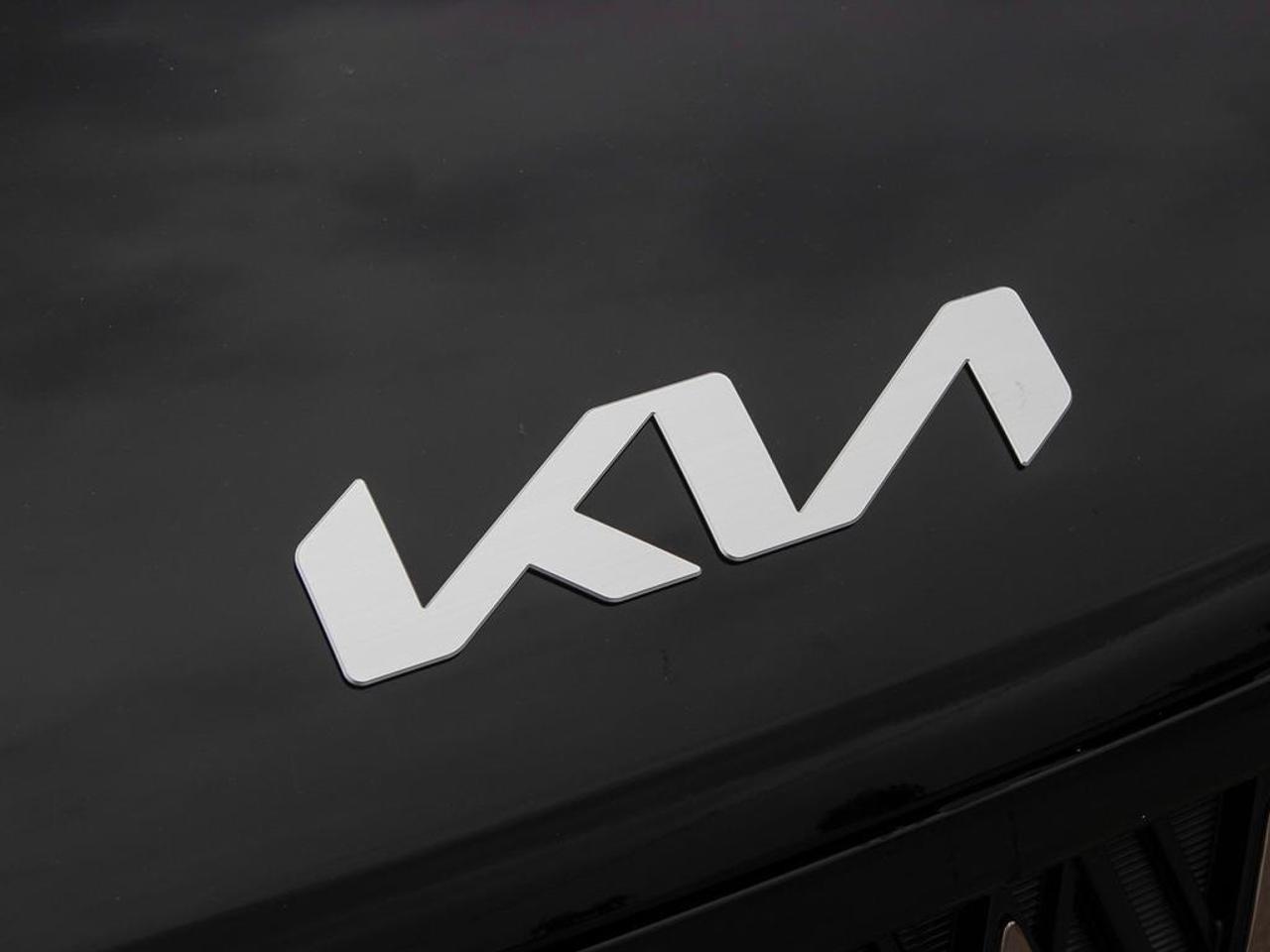 2026 Kia Carnival Hybrid Plus Photo