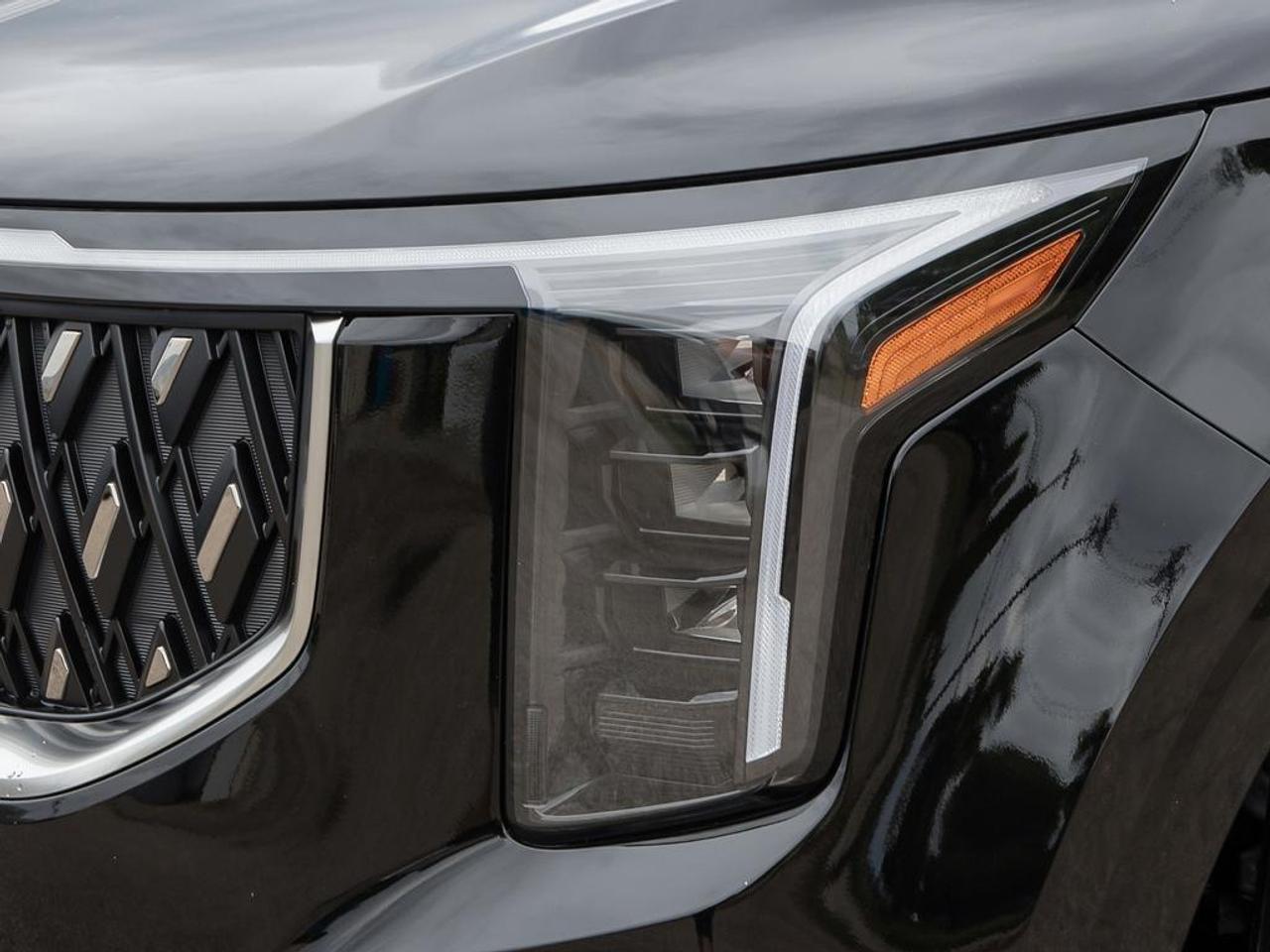 2026 Kia Carnival Hybrid Plus Photo