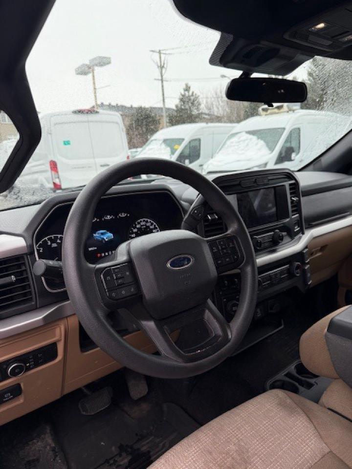 2022 Ford F-150 XLT 4WD SuperCrew 5.5' Box, Cap, Navigation Photo