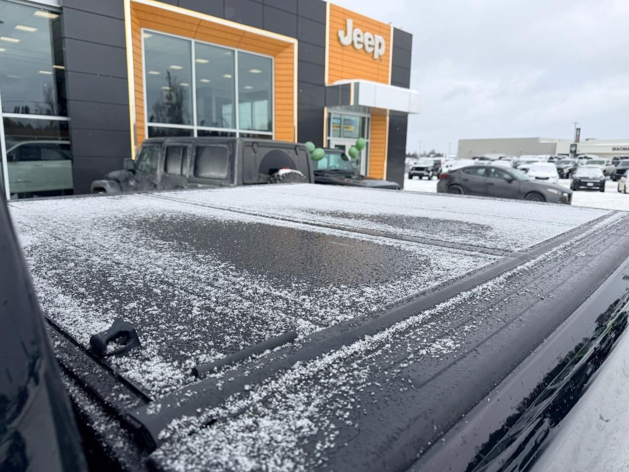 2020 RAM 1500 Big HornBIG HORN, 5.3L HEMI V8, 4X4, LEATHER, ALLO Photo