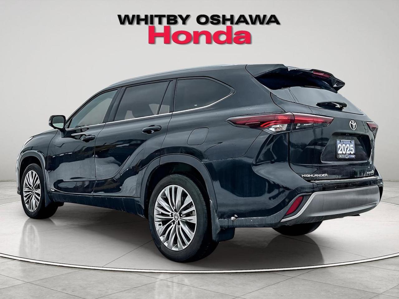 2025 Toyota Highlander Hybrid LIMITED Photo