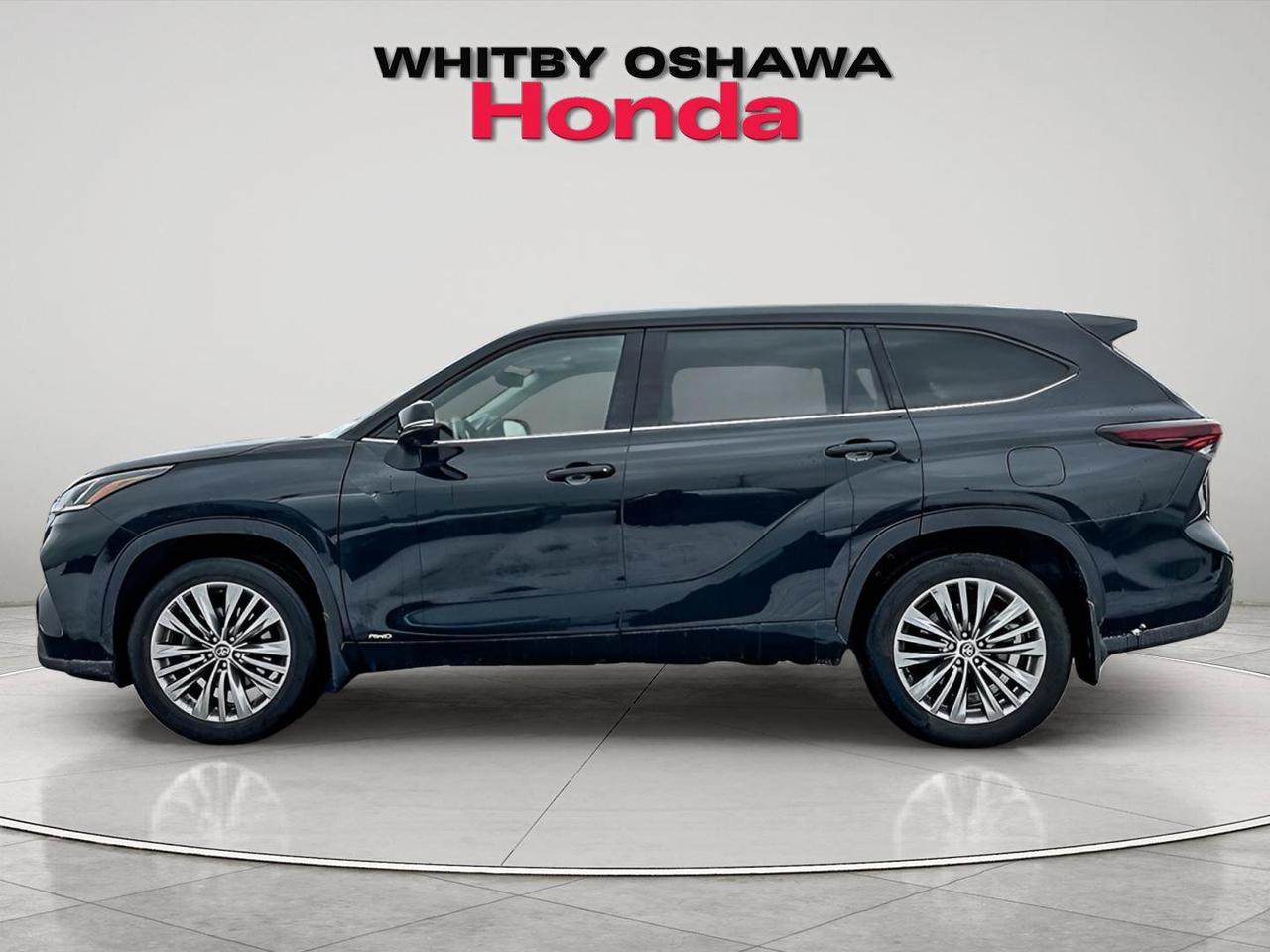 2025 Toyota Highlander Hybrid LIMITED Photo