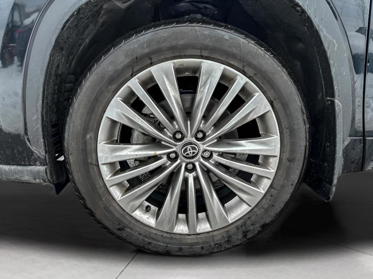 2025 Toyota Highlander Hybrid LIMITED Photo