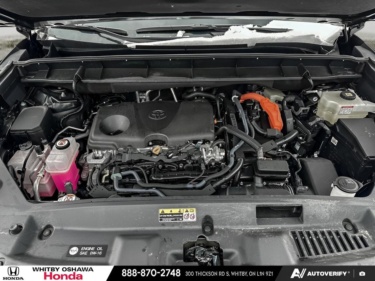2025 Toyota Highlander Hybrid LIMITED Photo