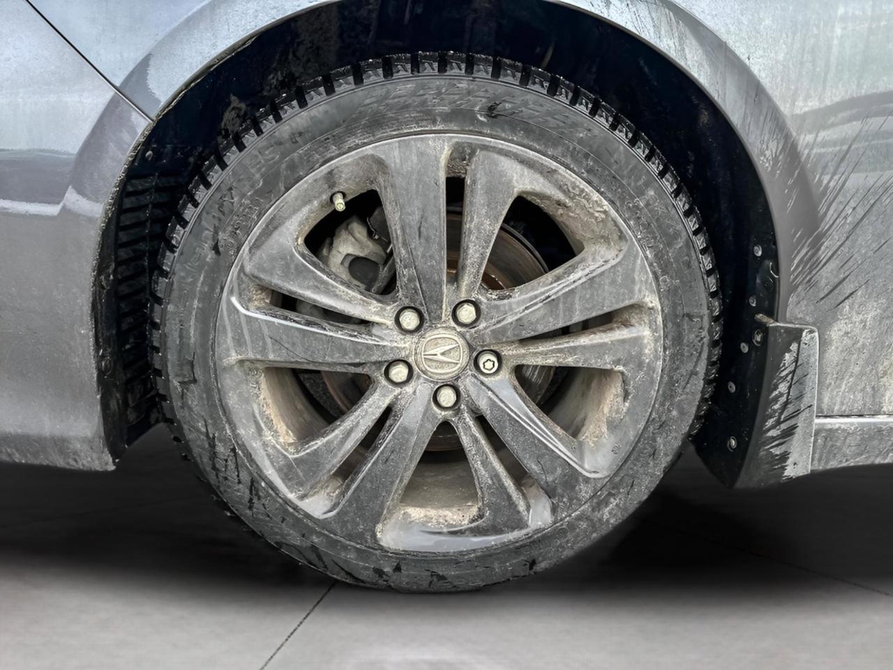 2023 Acura TLX Sh-Awd Photo