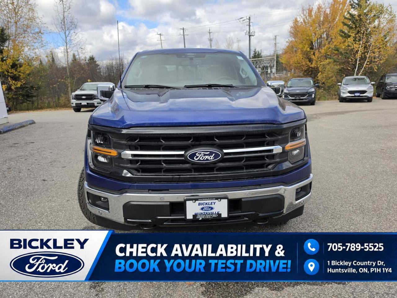 2026 Ford F-150 XLT Photo5