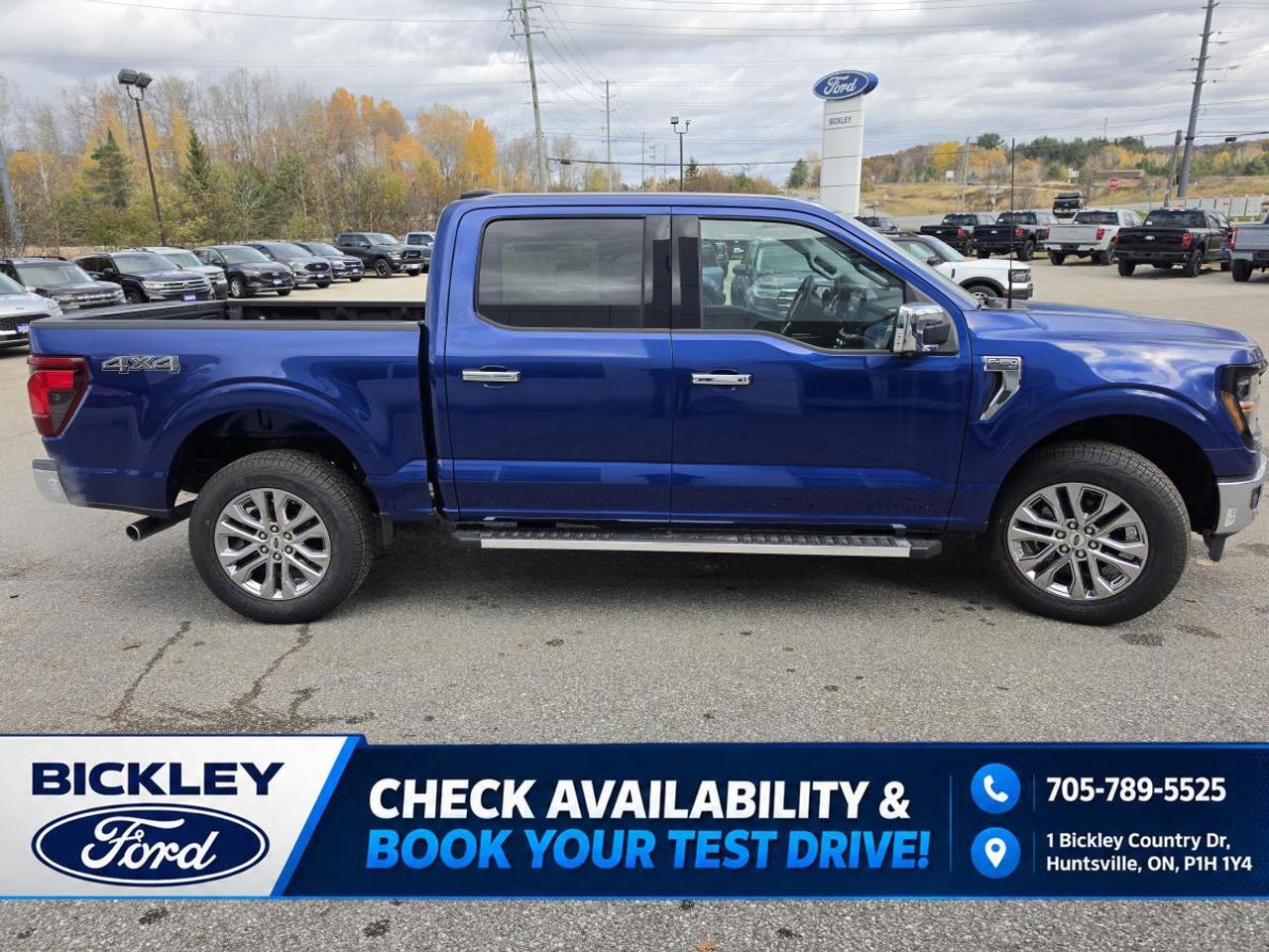 2026 Ford F-150 XLT Photo