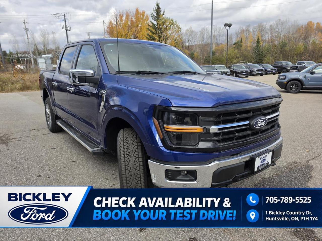 2026 Ford F-150 XLT Photo2