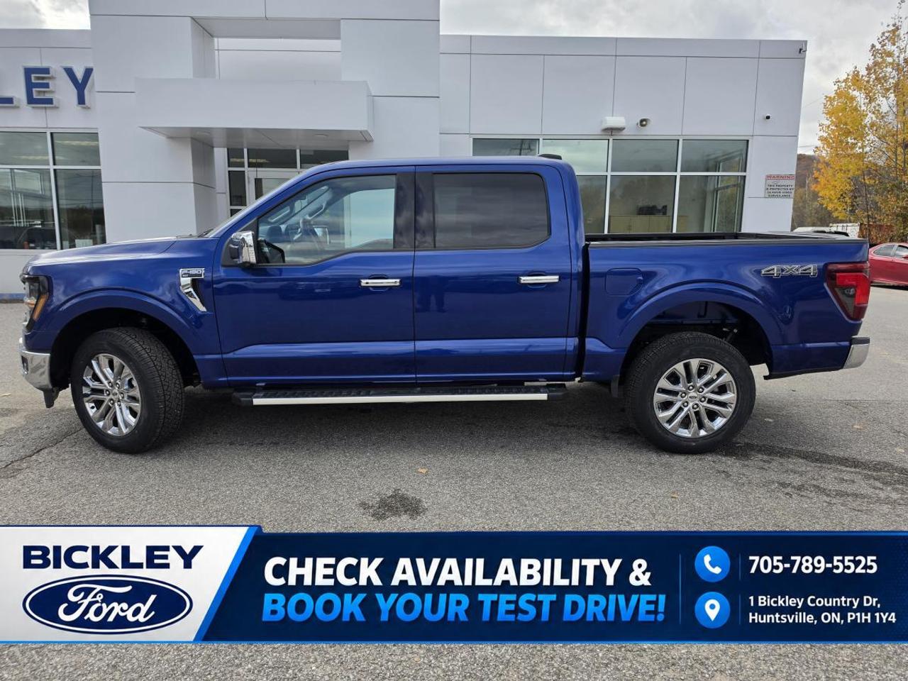 2026 Ford F-150 XLT Photo